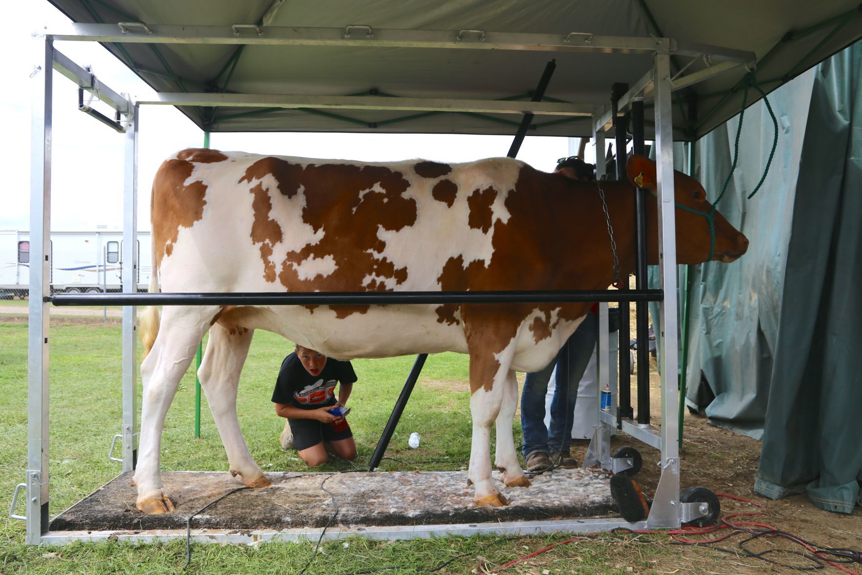 Washington County Fair